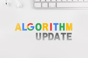Pengertian Algoritma Google Dan Update Perubahannya